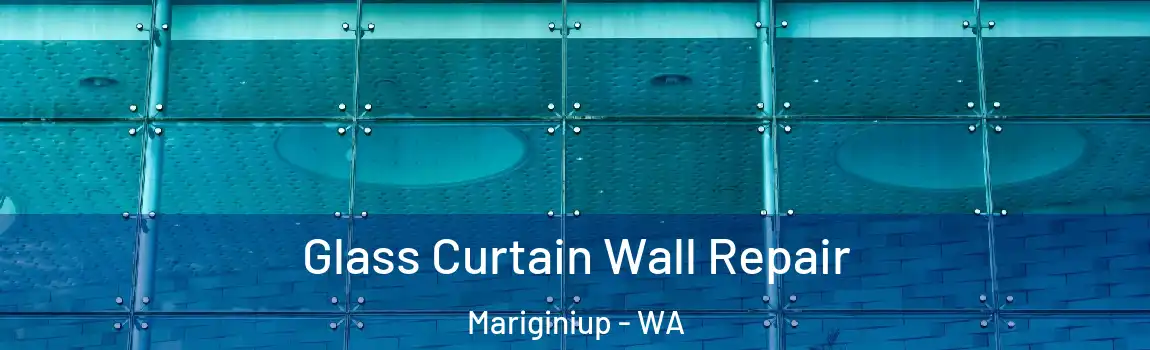 Glass Curtain Wall Repair Mariginiup - WA
