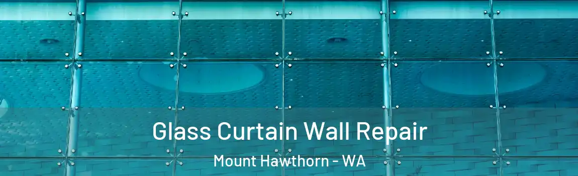 Glass Curtain Wall Repair Mount Hawthorn - WA