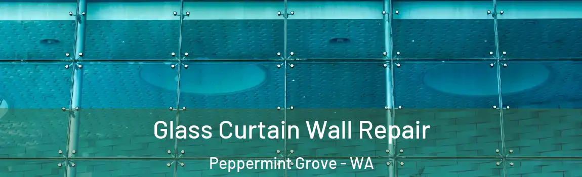 Glass Curtain Wall Repair Peppermint Grove - WA