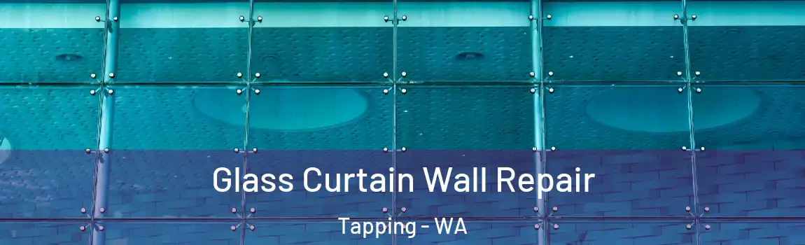 Glass Curtain Wall Repair Tapping - WA