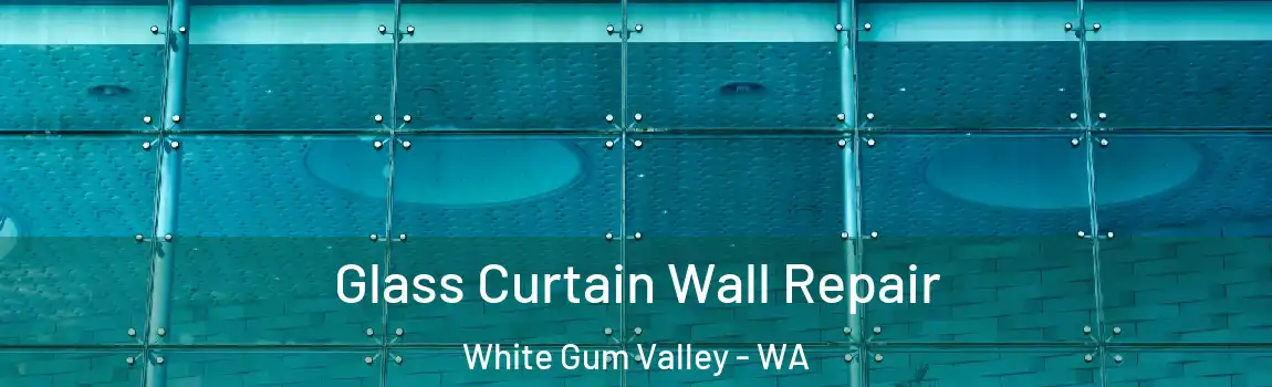 Glass Curtain Wall Repair White Gum Valley - WA