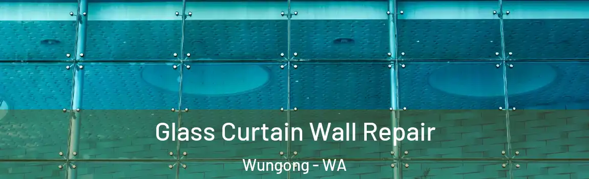 Glass Curtain Wall Repair Wungong - WA