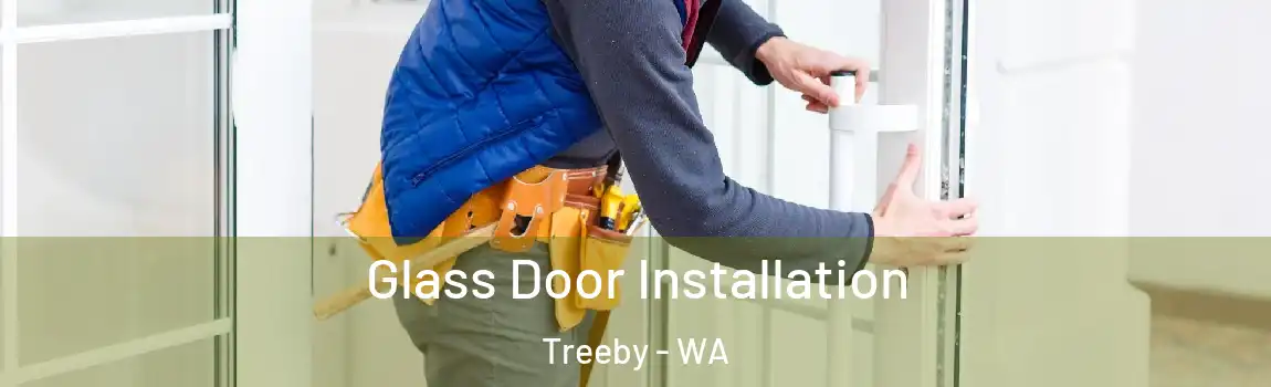 Glass Door Installation Treeby - WA
