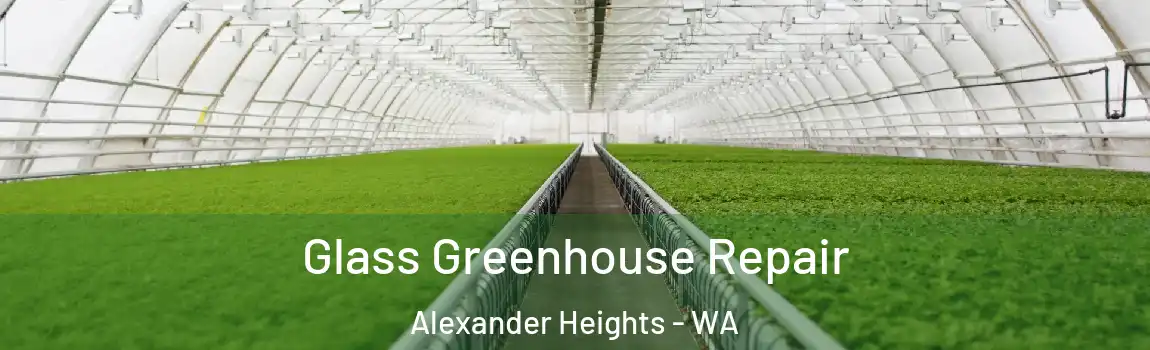 Glass Greenhouse Repair Alexander Heights - WA