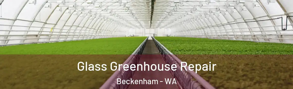 Glass Greenhouse Repair Beckenham - WA
