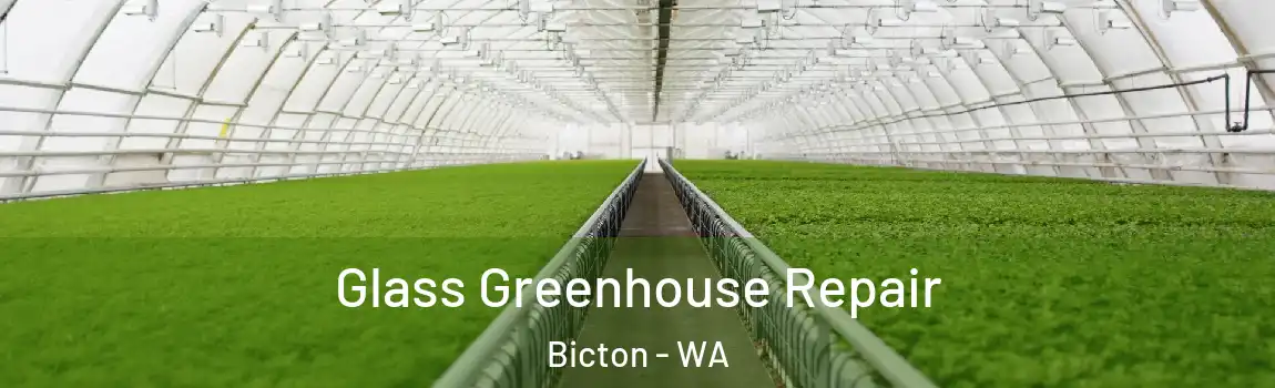 Glass Greenhouse Repair Bicton - WA
