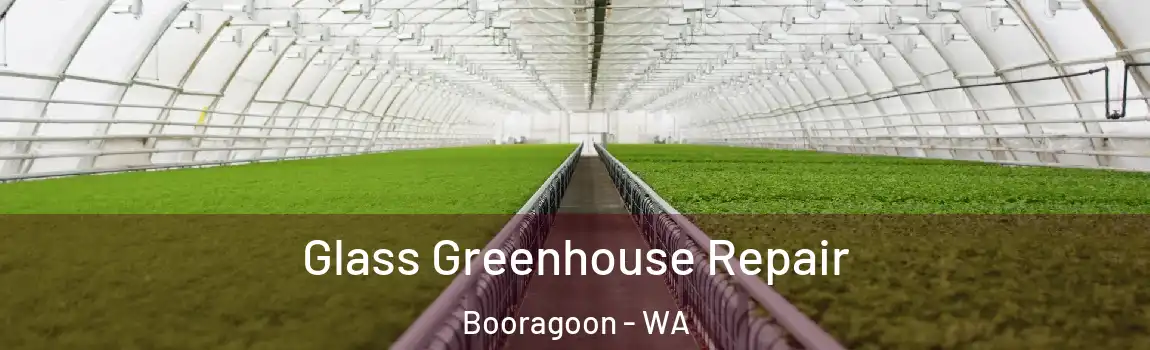 Glass Greenhouse Repair Booragoon - WA