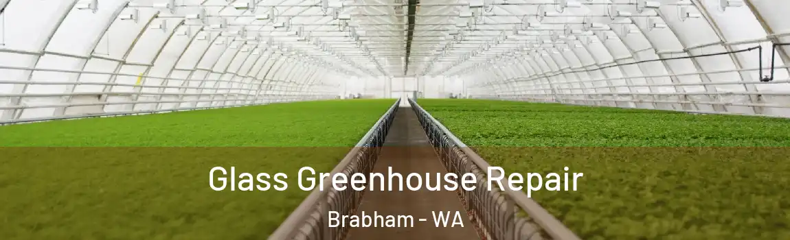 Glass Greenhouse Repair Brabham - WA