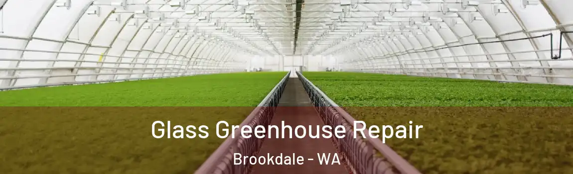 Glass Greenhouse Repair Brookdale - WA