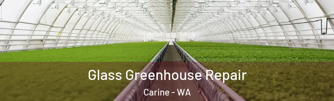 Glass Greenhouse Repair Carine - WA