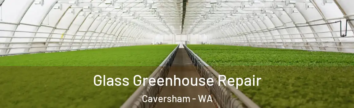 Glass Greenhouse Repair Caversham - WA