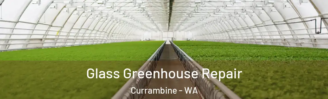 Glass Greenhouse Repair Currambine - WA