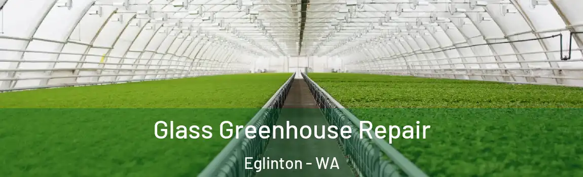 Glass Greenhouse Repair Eglinton - WA