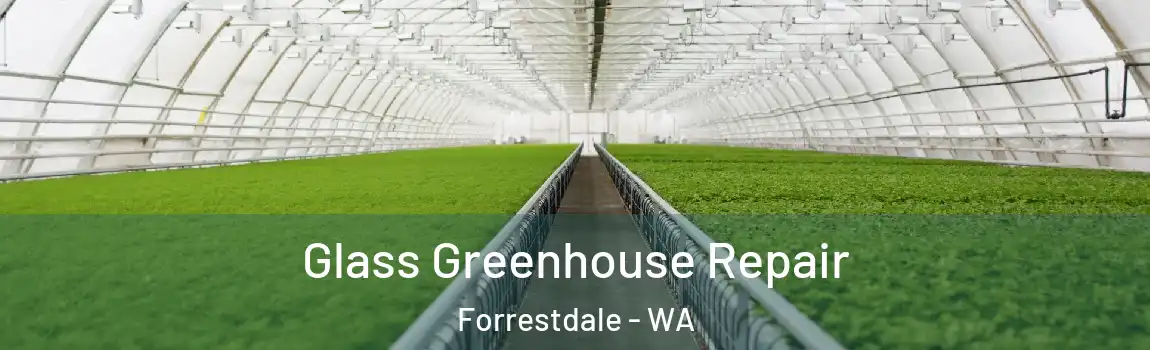 Glass Greenhouse Repair Forrestdale - WA