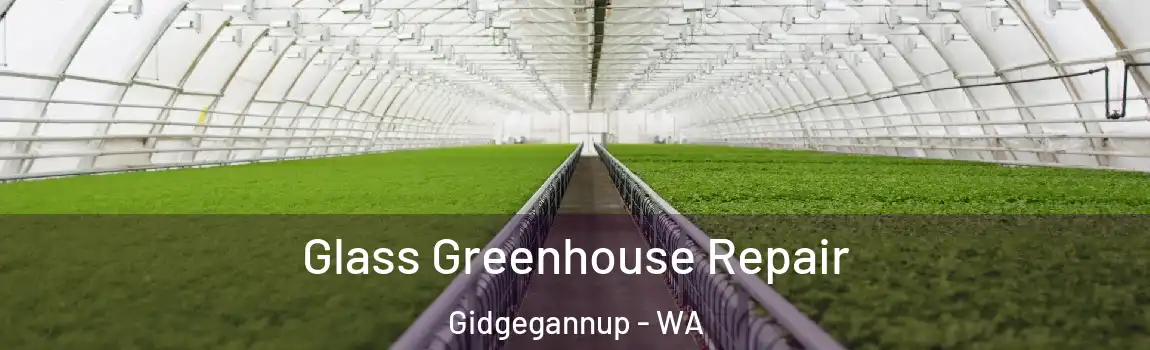 Glass Greenhouse Repair Gidgegannup - WA