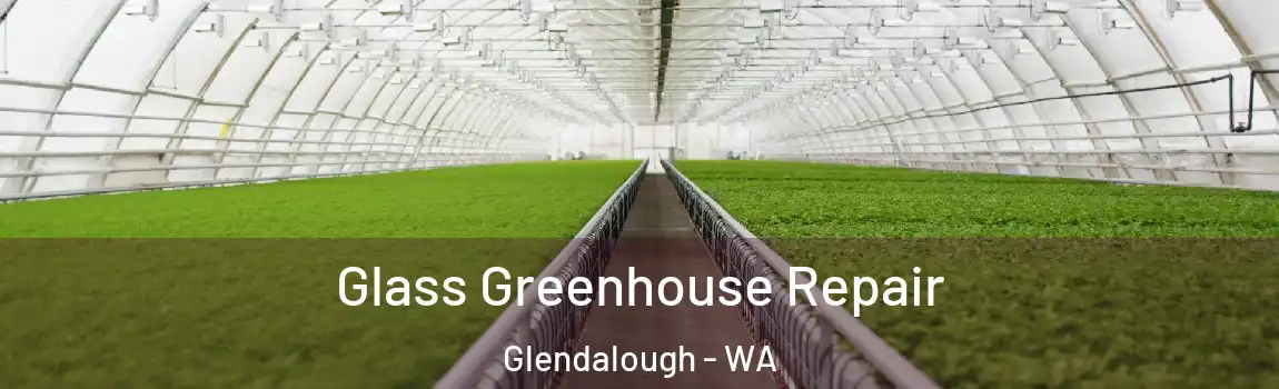 Glass Greenhouse Repair Glendalough - WA