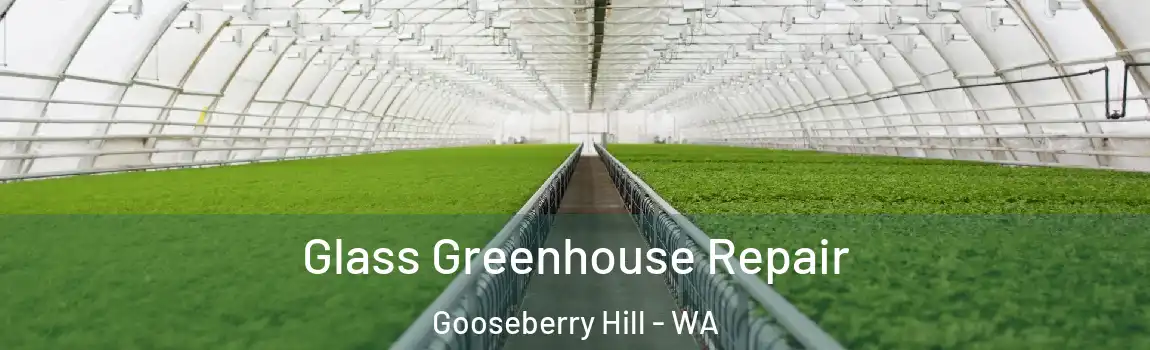 Glass Greenhouse Repair Gooseberry Hill - WA