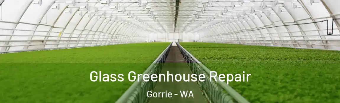 Glass Greenhouse Repair Gorrie - WA