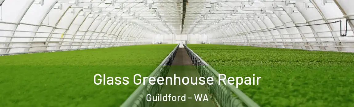 Glass Greenhouse Repair Guildford - WA