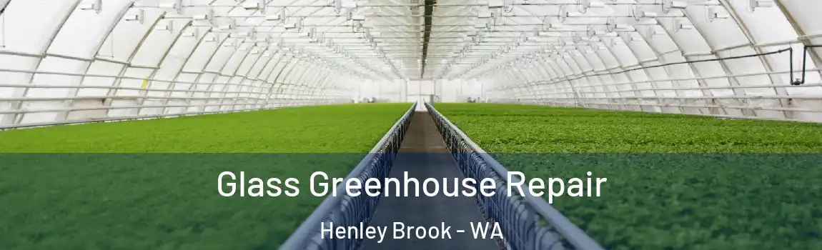 Glass Greenhouse Repair Henley Brook - WA