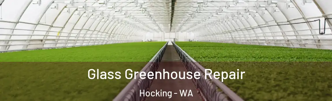 Glass Greenhouse Repair Hocking - WA