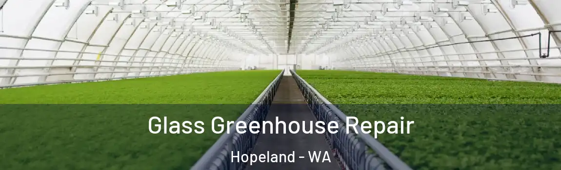 Glass Greenhouse Repair Hopeland - WA