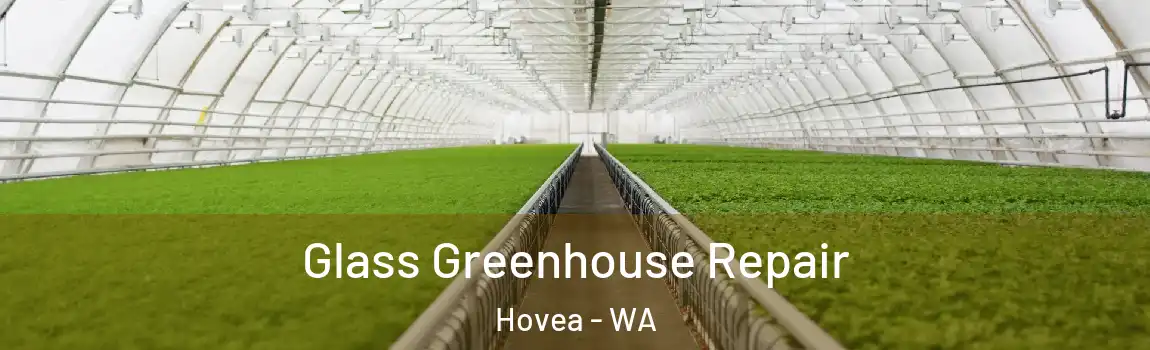 Glass Greenhouse Repair Hovea - WA