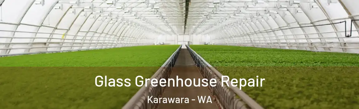 Glass Greenhouse Repair Karawara - WA
