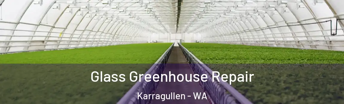 Glass Greenhouse Repair Karragullen - WA