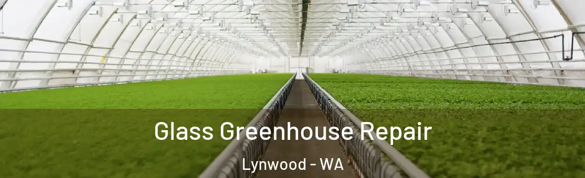 Glass Greenhouse Repair Lynwood - WA