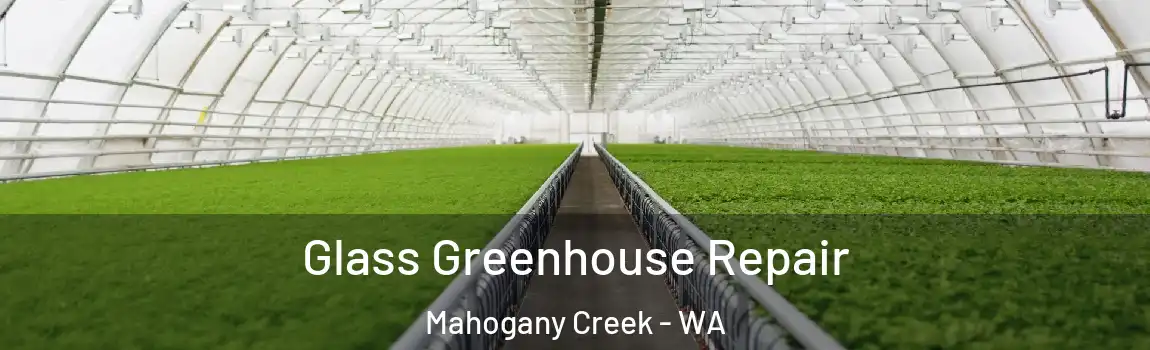 Glass Greenhouse Repair Mahogany Creek - WA