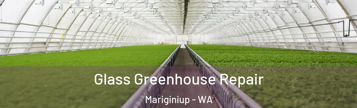Glass Greenhouse Repair Mariginiup - WA