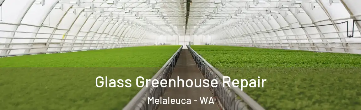 Glass Greenhouse Repair Melaleuca - WA