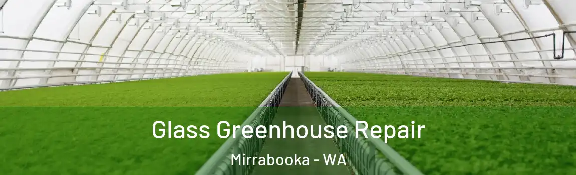Glass Greenhouse Repair Mirrabooka - WA