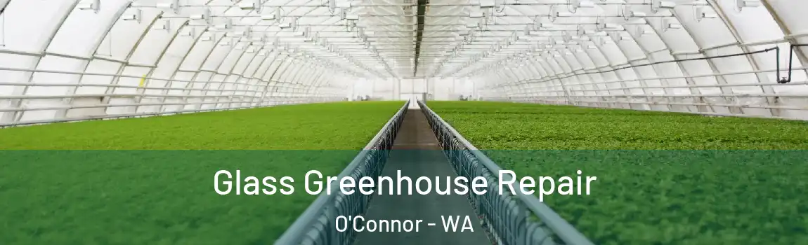 Glass Greenhouse Repair O'Connor - WA