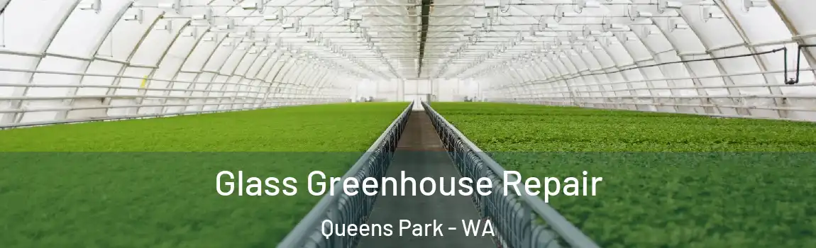 Glass Greenhouse Repair Queens Park - WA