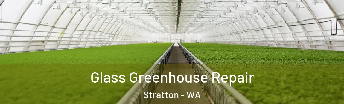 Glass Greenhouse Repair Stratton - WA