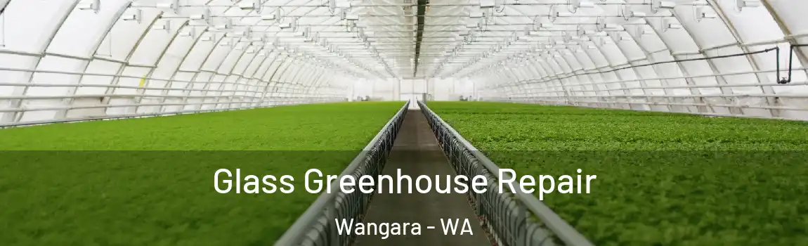 Glass Greenhouse Repair Wangara - WA