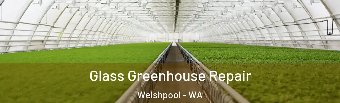 Glass Greenhouse Repair Welshpool - WA