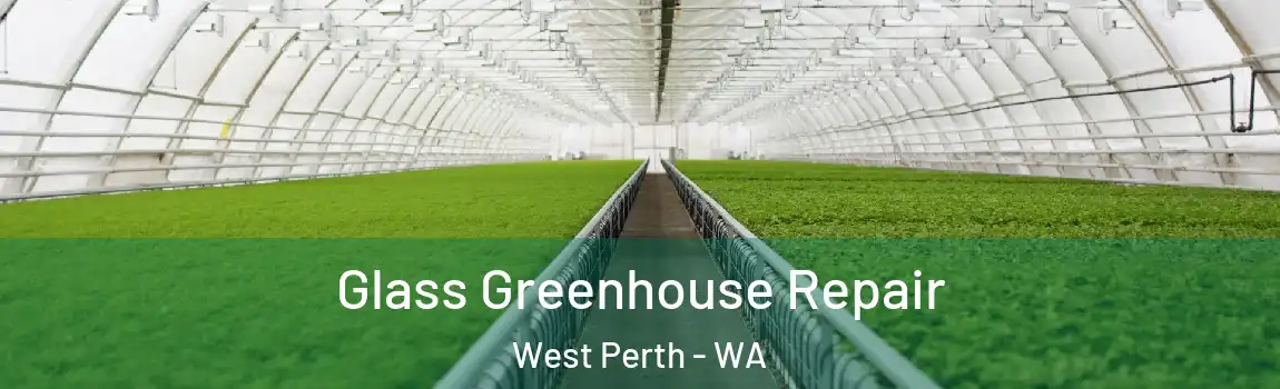 Glass Greenhouse Repair West Perth - WA