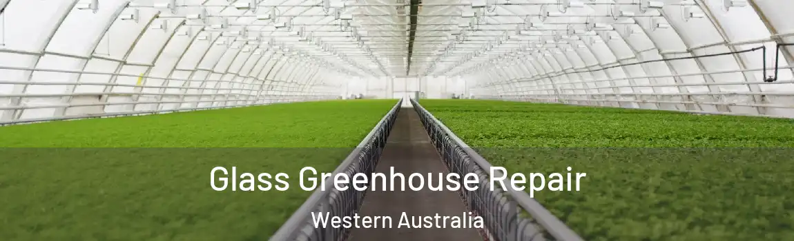 Glass Greenhouse Repair Western Australia