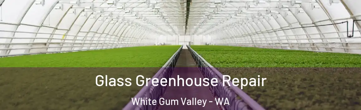 Glass Greenhouse Repair White Gum Valley - WA