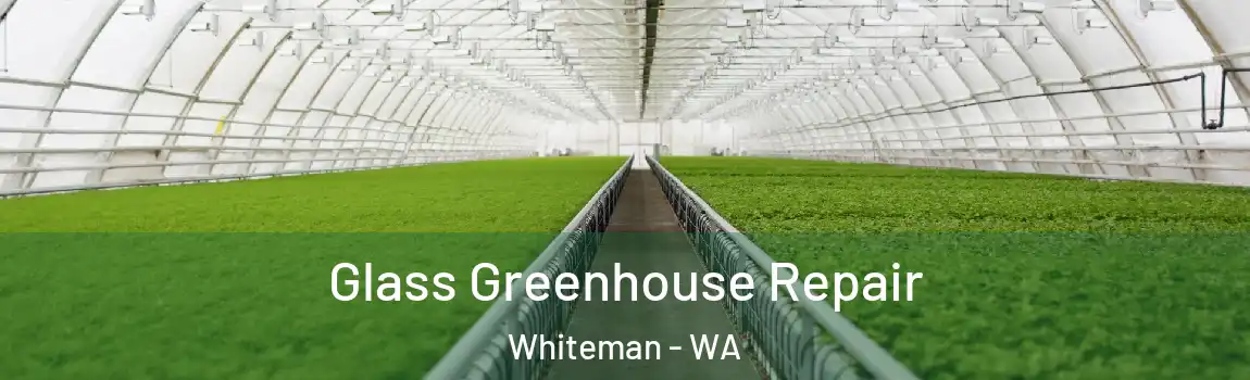 Glass Greenhouse Repair Whiteman - WA