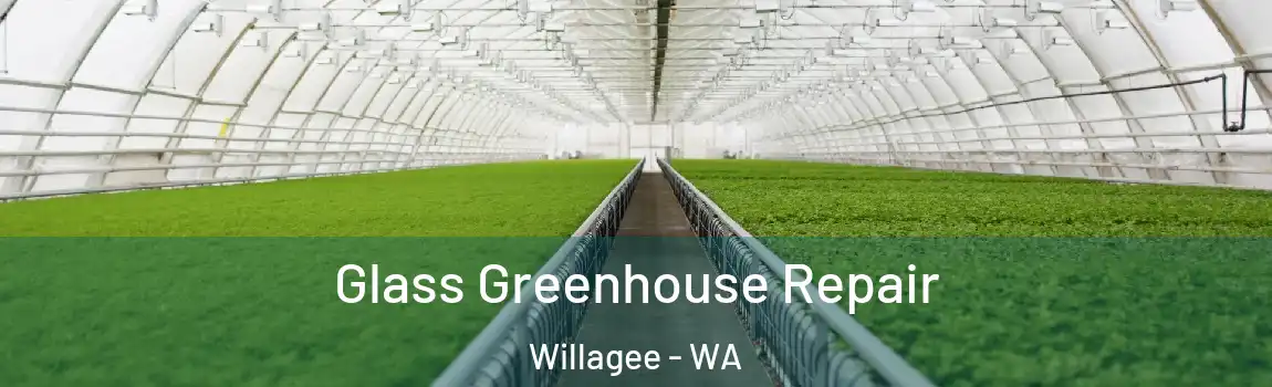 Glass Greenhouse Repair Willagee - WA