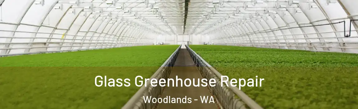 Glass Greenhouse Repair Woodlands - WA