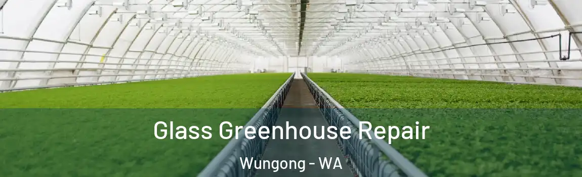Glass Greenhouse Repair Wungong - WA