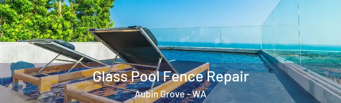 Glass Pool Fence Repair Aubin Grove - WA