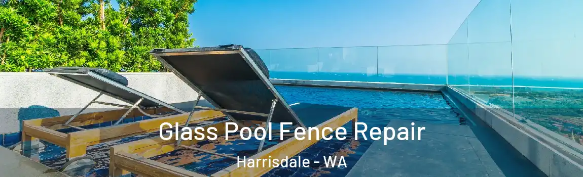 Glass Pool Fence Repair Harrisdale - WA