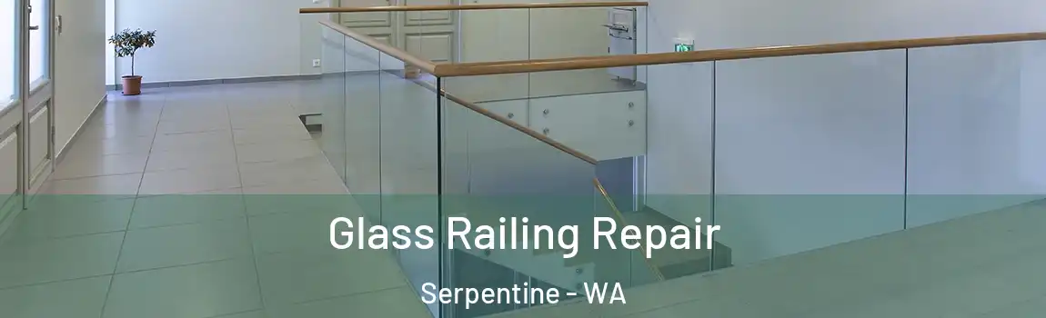 Glass Railing Repair Serpentine - WA