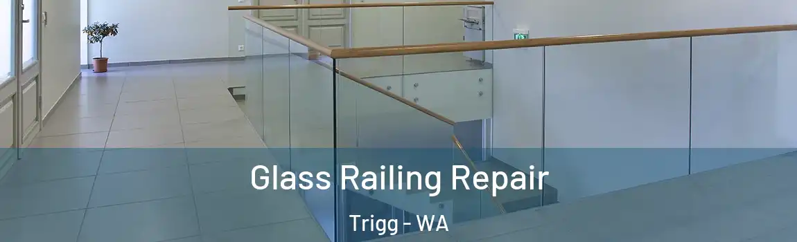 Glass Railing Repair Trigg - WA